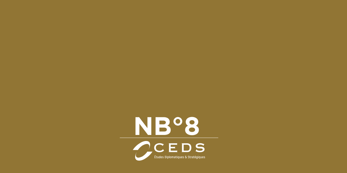 Le CEDS et l’Institut Robert Schuman à la conférence des oing