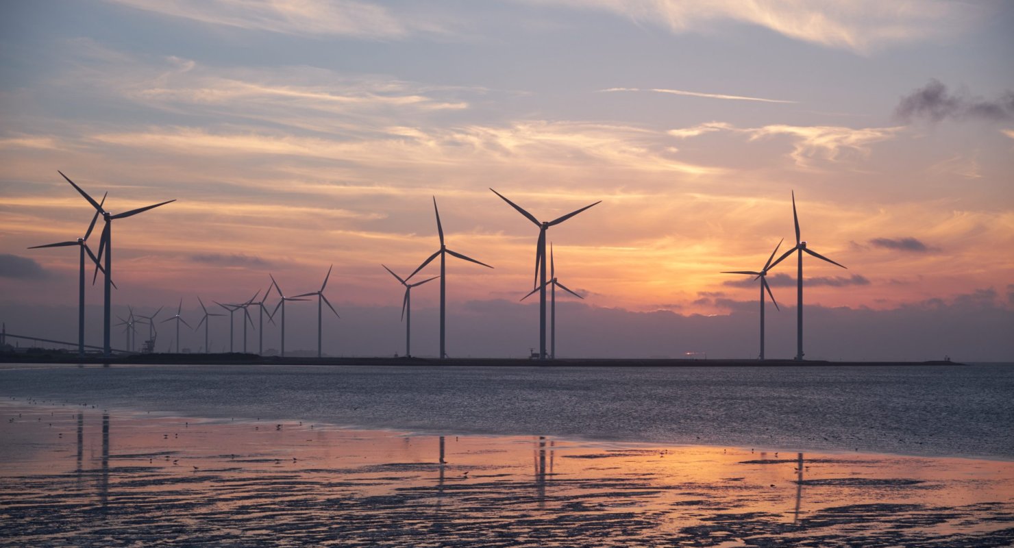 MSc Affaires Internationales & Développement Durable